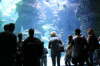 Aquarium