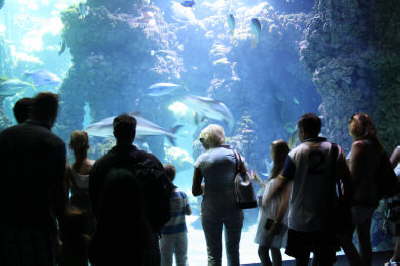 Aquarium