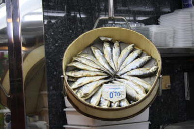 Fish Circle
