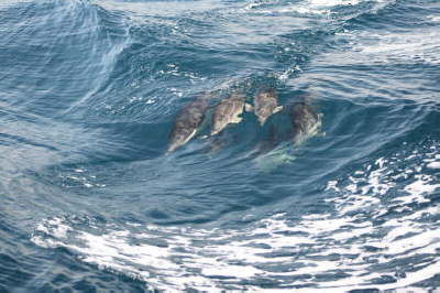 Mother and Baby