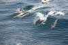 Wave Riding