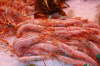 Prawns