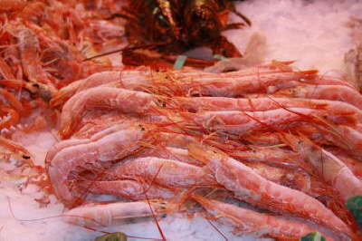 Prawns